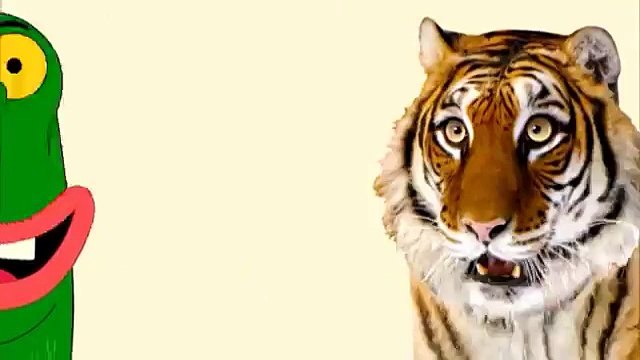 حلقات جديدة - العم جدو - كرتون نتورك