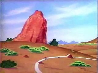 Roadrunner and coyote