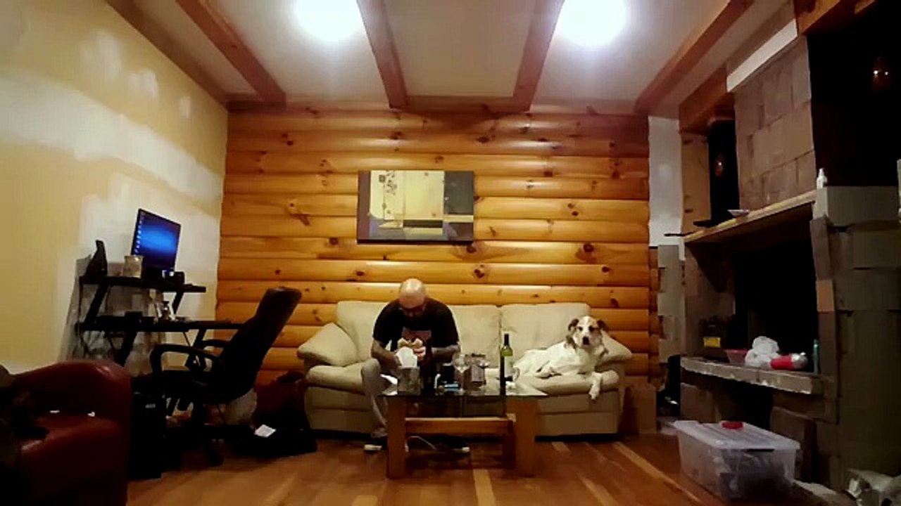 My dog likes to look at me while I eat until I catch him and he looks away from me