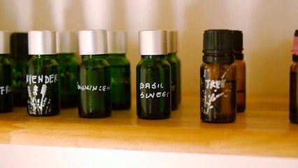 Pets See A Pet Psychic