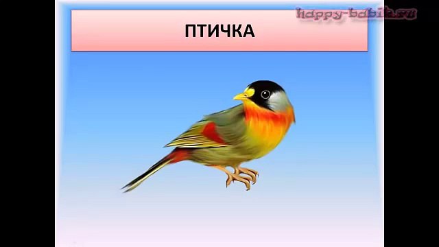 ЖИВОТНЫЕ и НАСЕКОМЫЕ (со звуками). Развивающий мультфильм для ребенка от 1 до 3 лет.