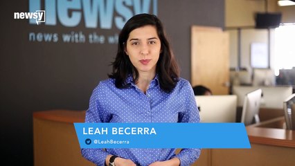 Cat Gets Doused With Boiling Water In Viral Video, Man Charged - Newsy