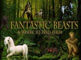 Fantastic Beasts and Where to Find Them Full Movie Streaming