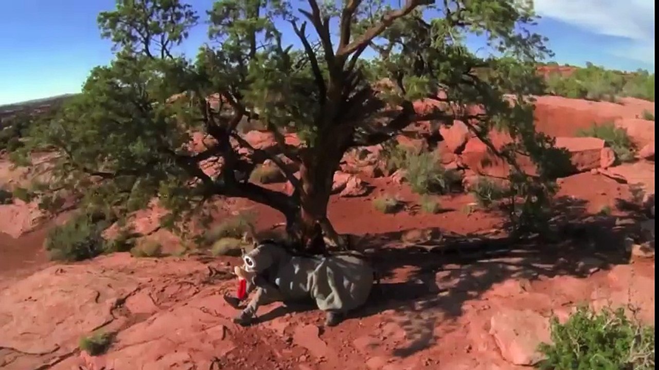 A Mile In These Hooves (Trailer)   2014 Official Selection   Chicago Comedy Film Festival