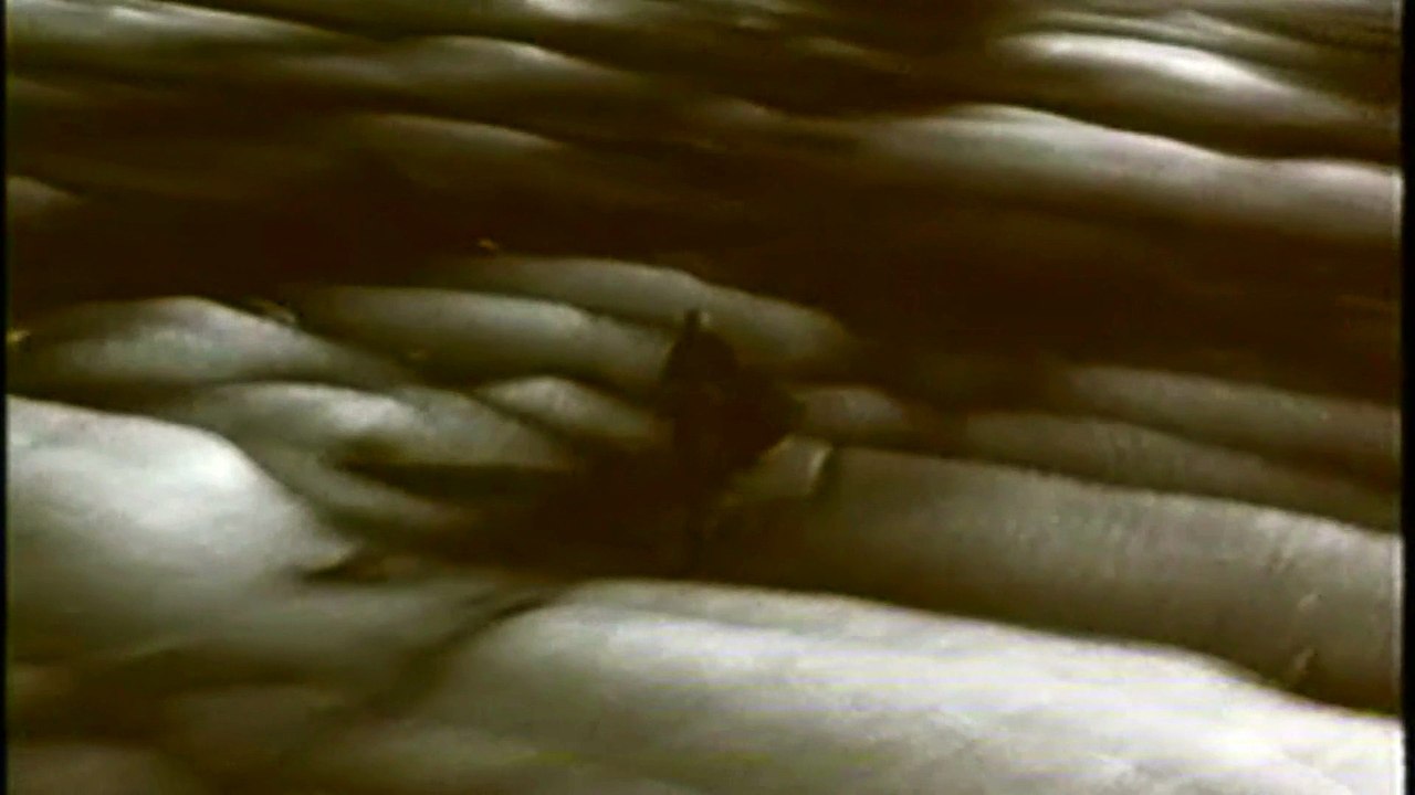 Levent Yüksel Yeter Ki Onursuz Olmasın Aşk