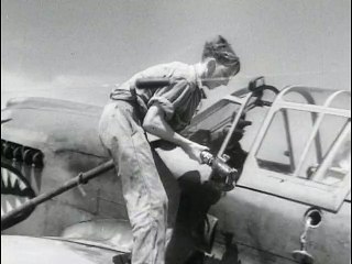 Les chasseurs alliés : anglais - américains - russes