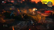 The Witcher 3 P10 [PC]