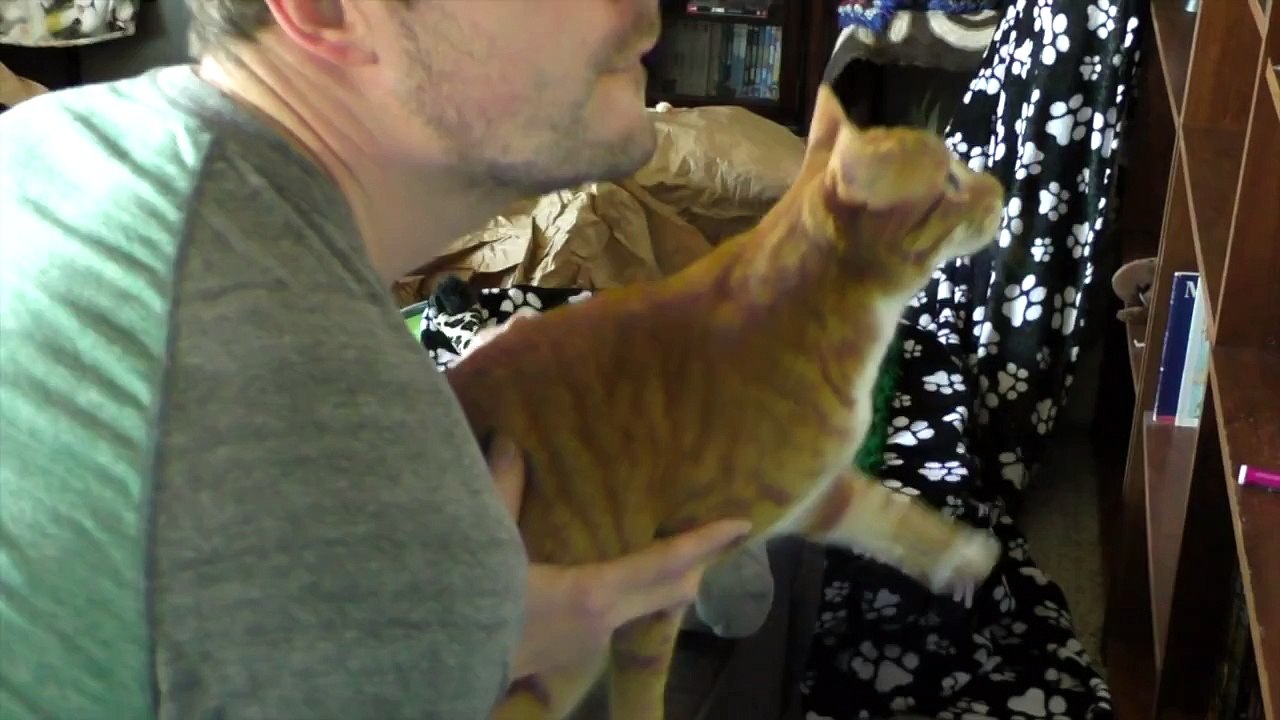 Cat People Will Understand...