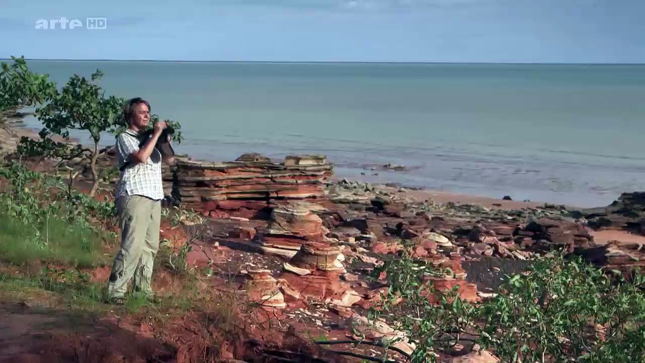 Expédition En Australie: Dans Le Sillage Des Oiseaux Migrateurs