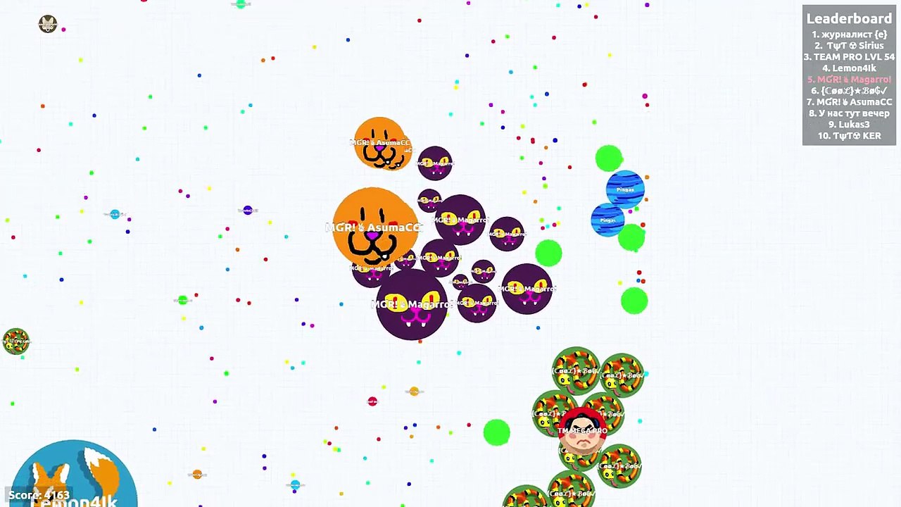 Cat & Dog Agario Gameplay // Agar.io Bots Everywhere?!