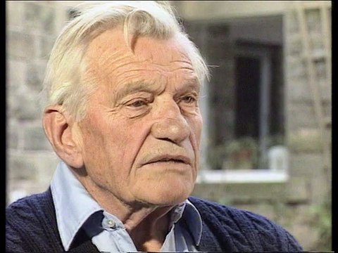 Warbirds de la RAF et de l'aviation américaine