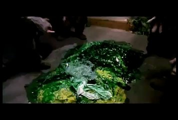 my reaction if anstasiadisney makes the opening to the simpsons movie dvd (2007)