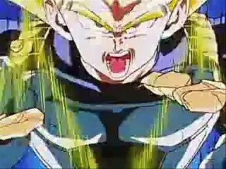 ~Dragon Ball Z Vegeta V.S. Android 19~