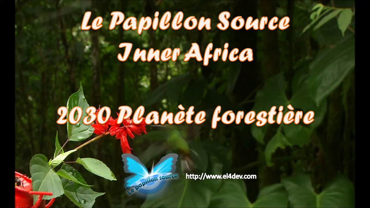 Le monde social et solidaire - EL4DEV - Le Papillon Source Inner Africa - Parc à thème éducatif