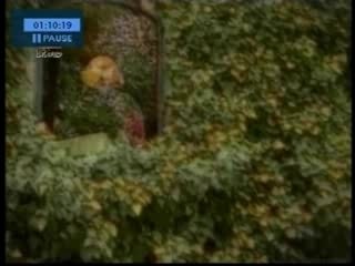 La Hungara - Vete De Mi Vera 🎶