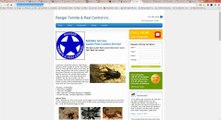 Pest Control SEO Termite Inspectionand Search Engine Optimization