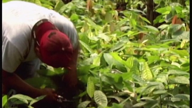 400 millones de dolares destina el banco mundial a Honduras