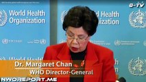 Zika Virus: WHO declares virus global public health emergency