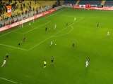 Mehmet Topuz Goal - Fenerbahçe SK 1-0 Diyarbakir BB - 03.03.2016 HD