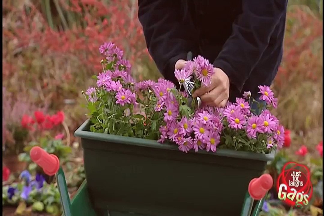 Free Stolen Flowers Prank