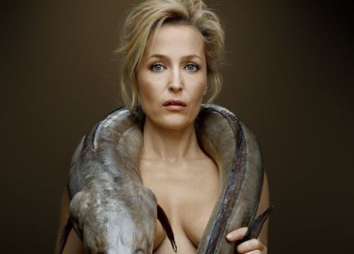 Gillian Anderson strips for charity - X Files