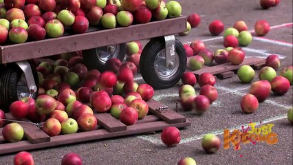 APPLES OVER HOPSCOTCH PRANK - Just Kidding