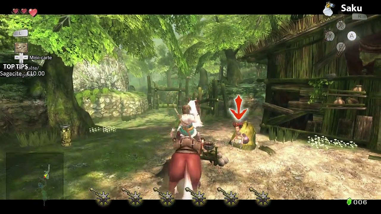 Zelda Twilight Princess HD #2