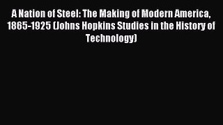 Read A Nation of Steel: The Making of Modern America 1865-1925 (Johns Hopkins Studies in the