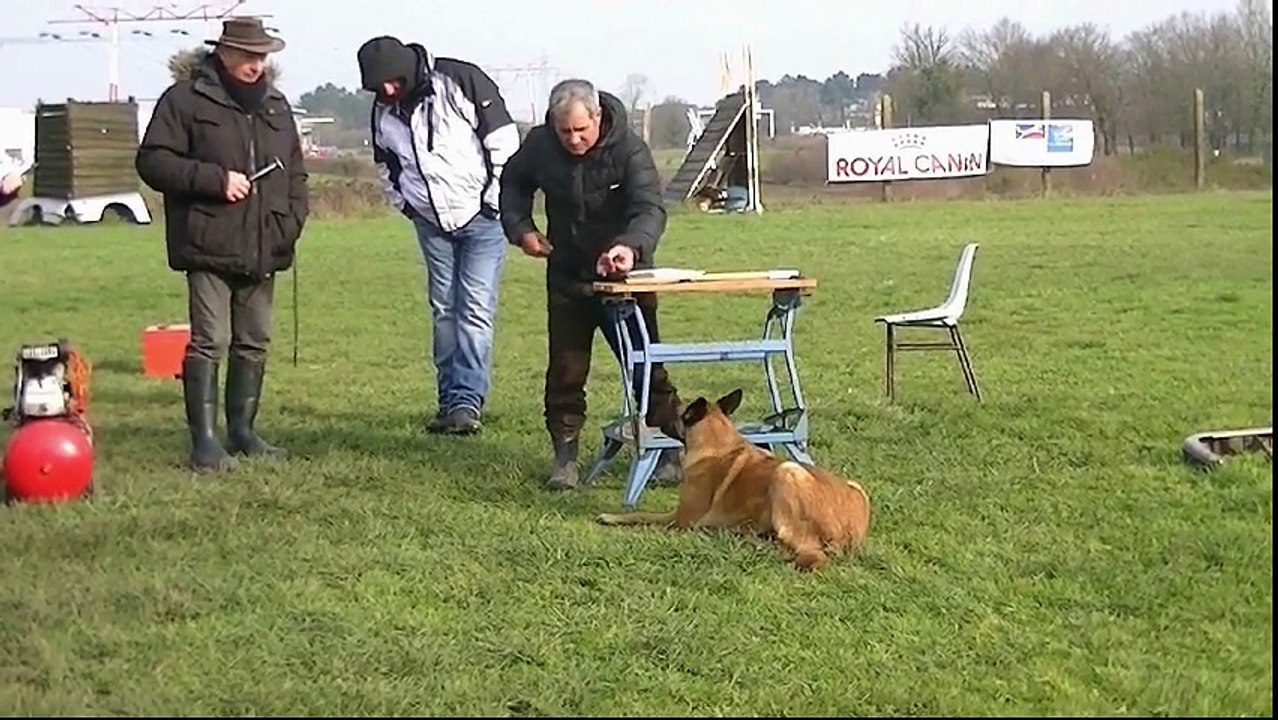 Fantasia de la Sylbrillaume, Mondioring 2, Mérignac 2016