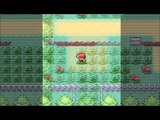 Pokemon: Fire Red/Leaf Green Review (GBA)