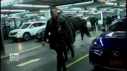 Un cheval en liberté sème la panique sur Times Square