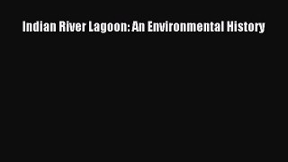 Download Indian River Lagoon: An Environmental History PDF Free