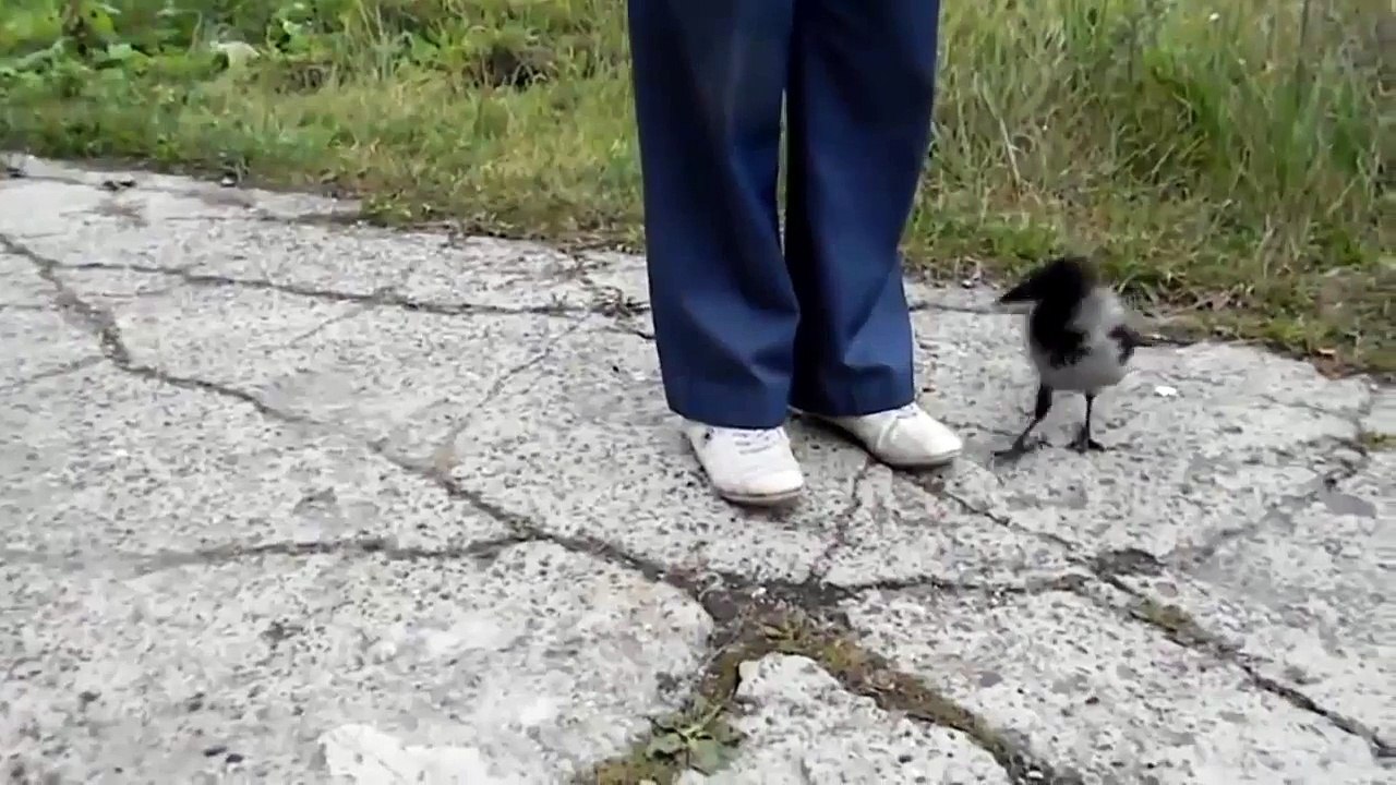 ПРИКОЛ 2015 - humor humour comedy[5]