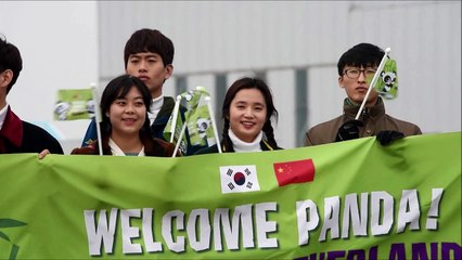 Pandas given by China arrive in South Korea