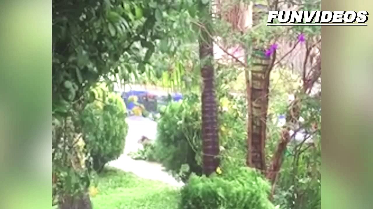 Tiempo raro en invierno