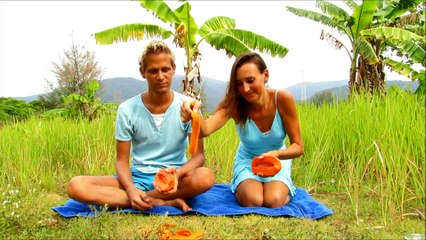 Papaya - Koh Chang, Thailand