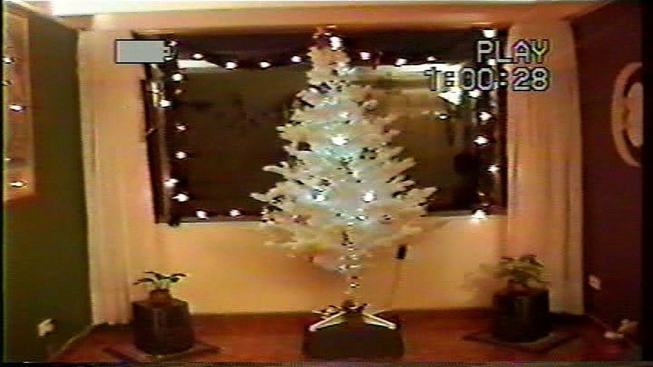 stella navida 2004
