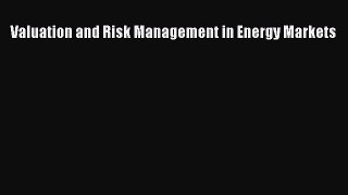 Read Valuation and Risk Management in Energy Markets Ebook Online