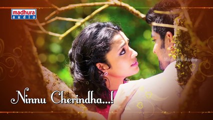 Kalyana Vaibhogame Telugu Movie _ Evaru Neevu Song w_Lyrics _ Naga Shaurya _ Malavika Nair