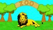 Simple Learning Zoo Animals Learn About Animals at the Zoo Preschool Toddlers Kindergarten