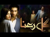 Gul e Rana OST Complete Title song [ HQ] hum tv