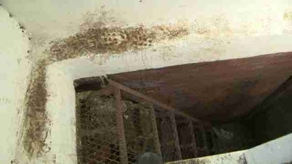 La casa del "Chapo" contaba con un túnel secreto para la huida