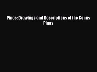 PDF Download Pines: Drawings and Descriptions of the Genus Pinus Read Online