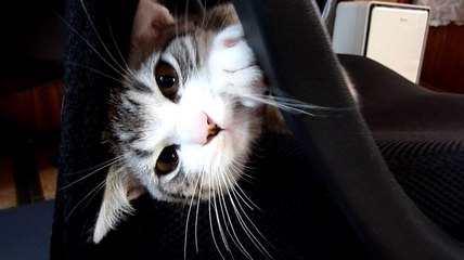 カメラに触りたい！