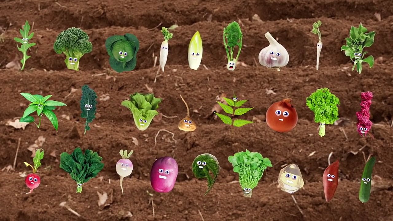 Kids Learning Tube - Dailymotion Video