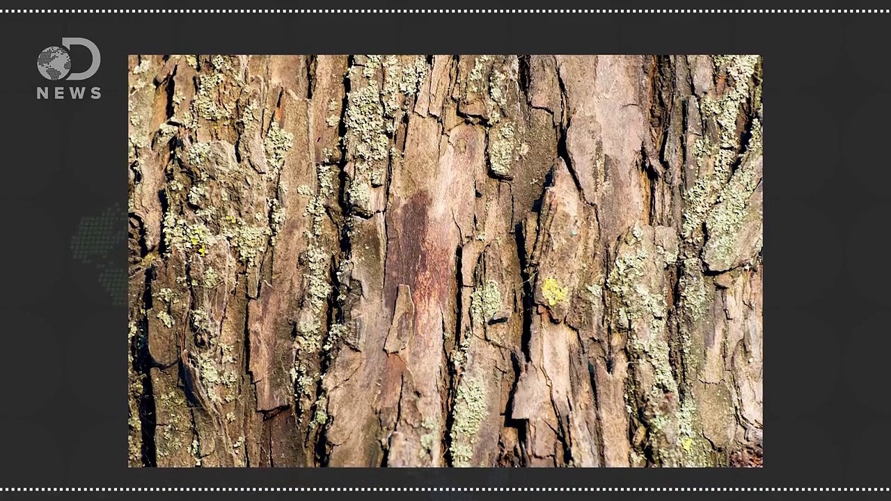 How Are New Medications Developed?