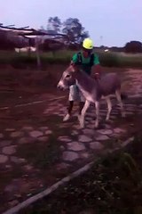 Lols...nice ride..:p
