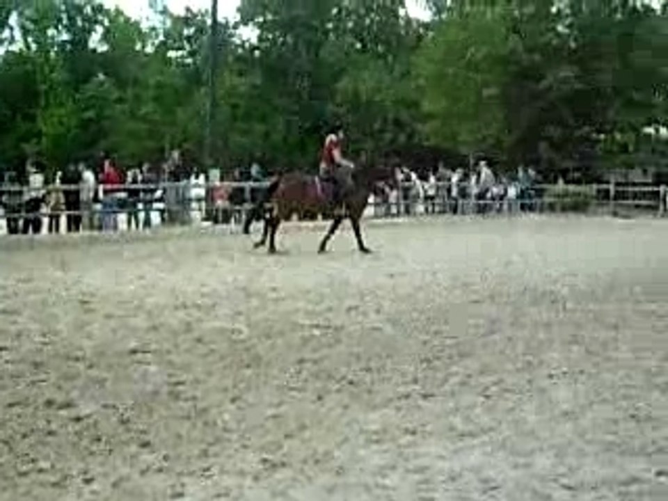 détente aurèl et océ