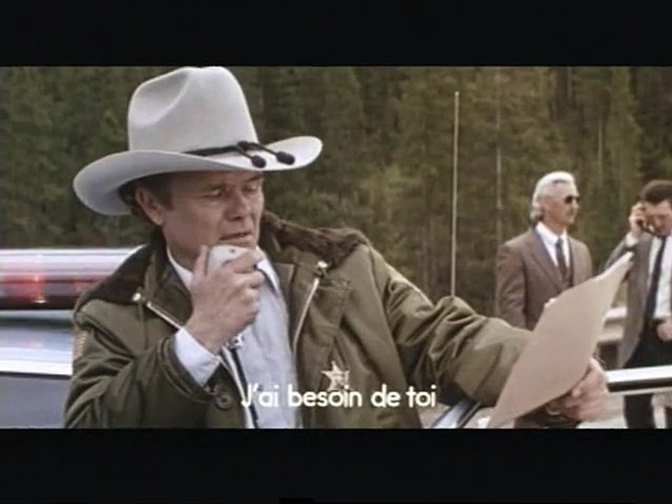 Le Dernier cheyenne