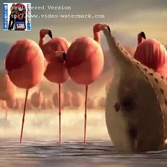 Balloon World -Balloon Animals